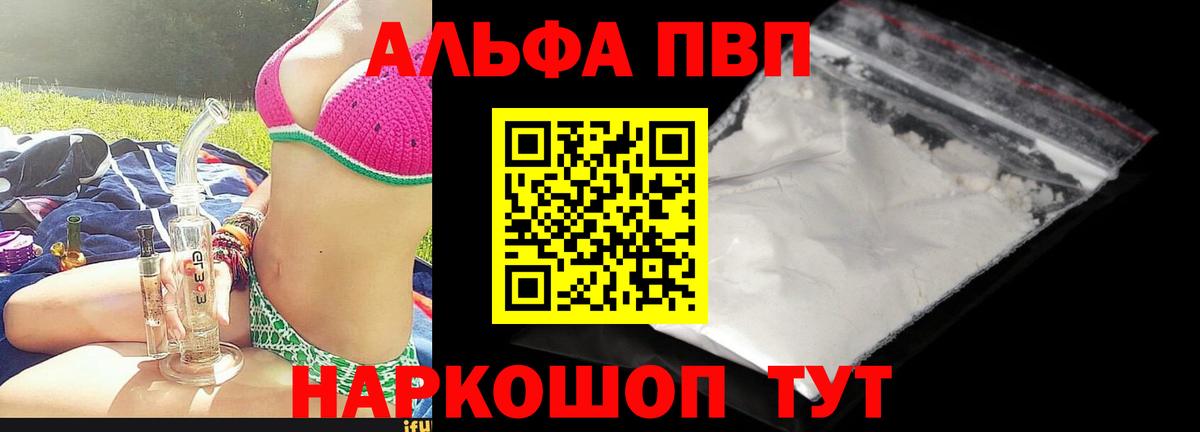 Alfa_PVP СК КРИС Сочи