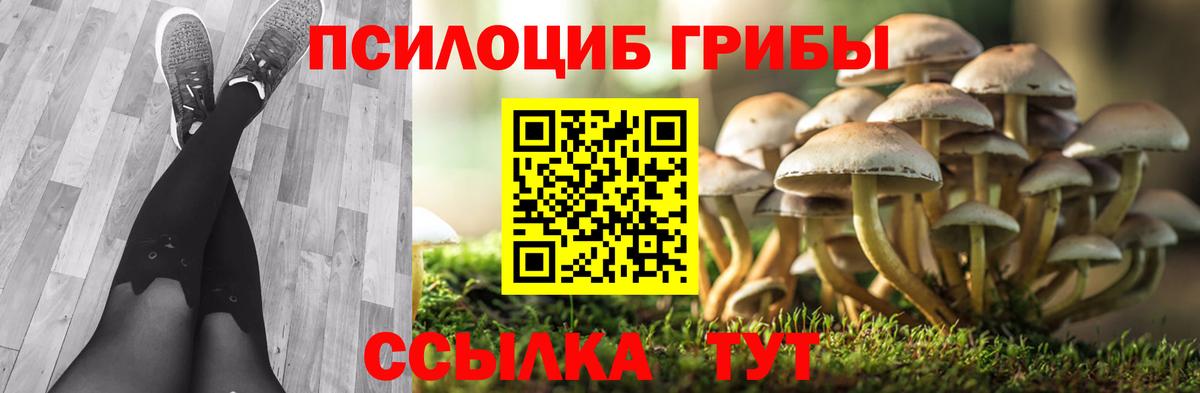 купить закладку  Галлюциногенные грибы Psilocybine cubensis  Вход с VPN  Сочи 